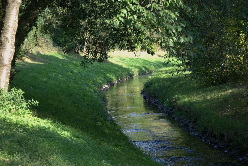 Land-Hotel Zum Schwan, Garni WEILERSWIST-METTERNICH Exterior foto