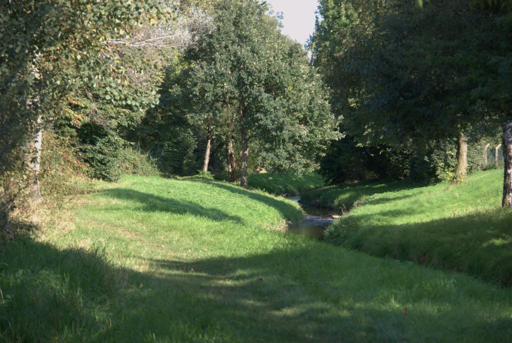 Land-Hotel Zum Schwan, Garni WEILERSWIST-METTERNICH Exterior foto